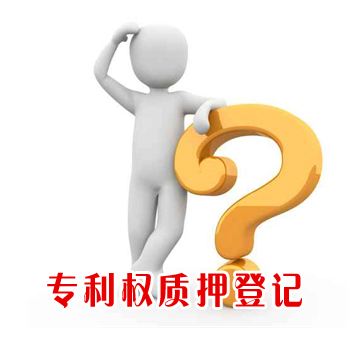 贵州组织开展全省企业专利权质押融资需求调查工作