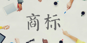 擅用杂志商标 台湾议员候选人致歉