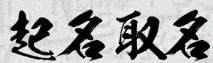 如何取商标名字通过率高?